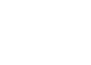 Logo Daycoval